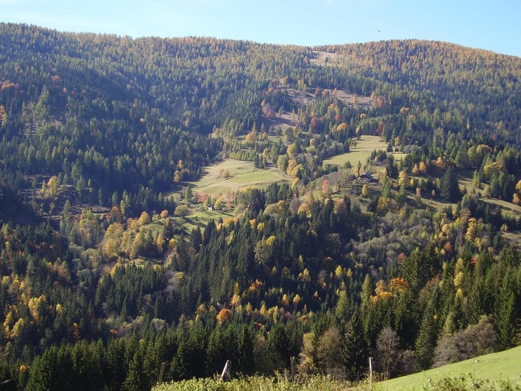 ホテル Surtmannhof Sirnitz エクステリア 写真