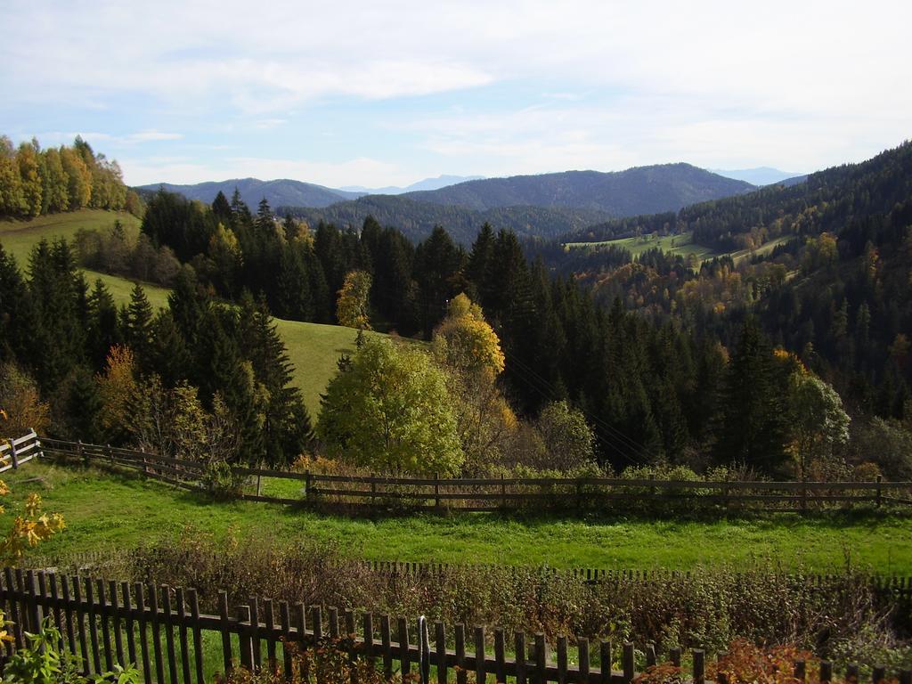 ホテル Surtmannhof Sirnitz エクステリア 写真
