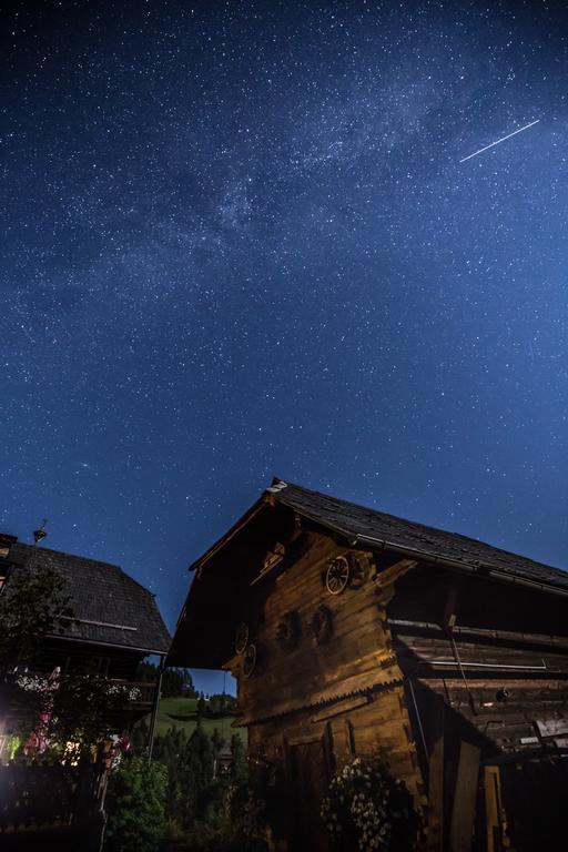 ホテル Surtmannhof Sirnitz エクステリア 写真