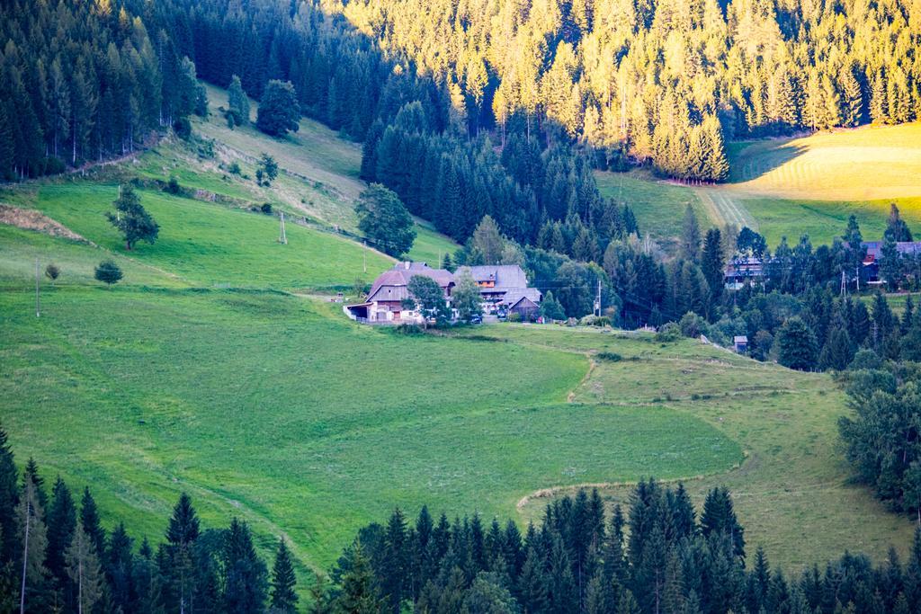 ホテル Surtmannhof Sirnitz エクステリア 写真